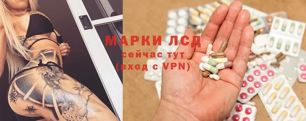 гашиш Богданович