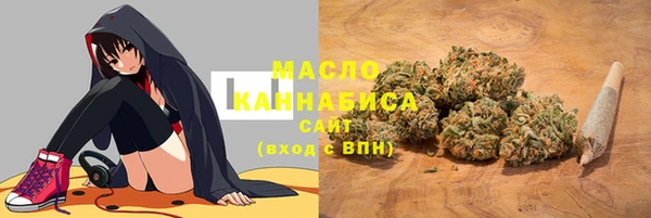 гашиш Богданович