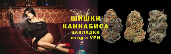 гашиш Богданович