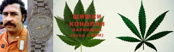 гашиш Богданович