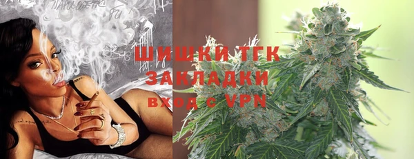 гашиш Богданович