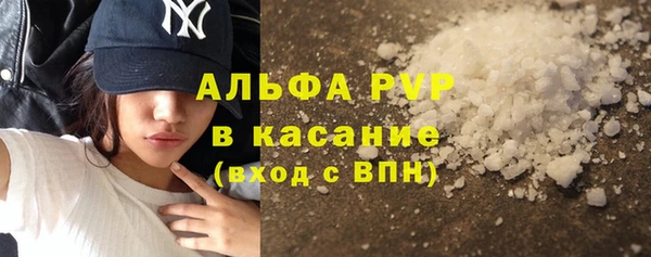 гашиш Богданович