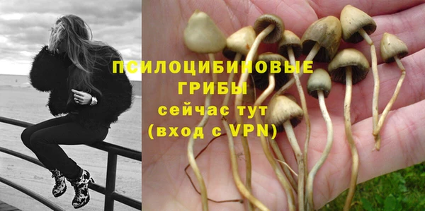 первитин Богородск
